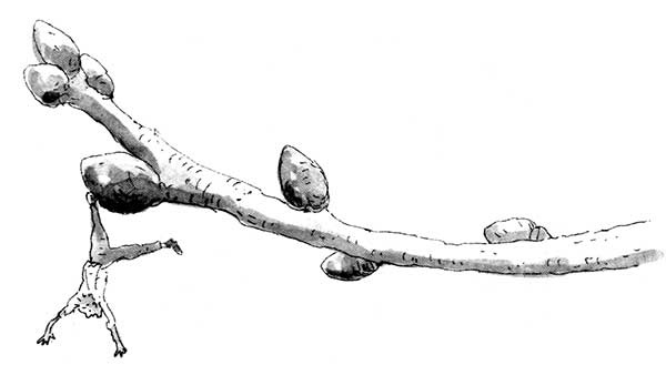 Иллюстрация к книге — Тоби Лолнесс. Книга 1. На волосок от гибели [i_010.jpg]