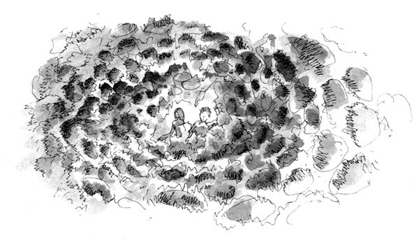 Иллюстрация к книге — Тоби Лолнесс. Книга 1. На волосок от гибели [i_016.jpg]