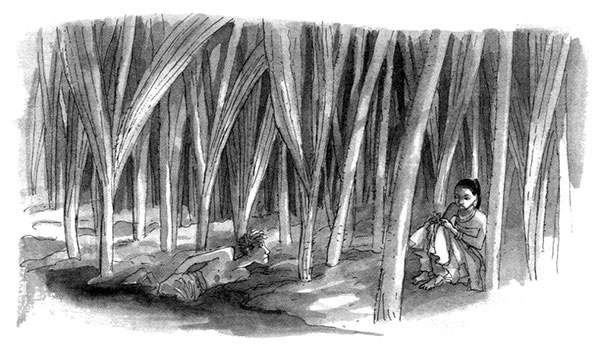 Иллюстрация к книге — Тоби Лолнесс. Книга 1. На волосок от гибели [i_066.jpg]