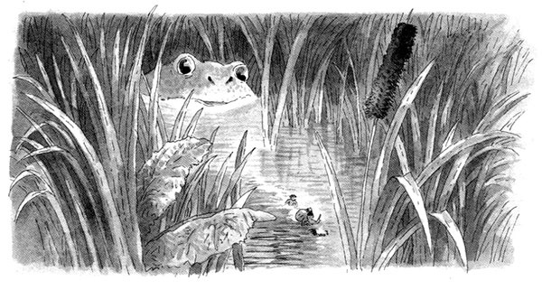 Иллюстрация к книге — Тоби Лолнесс. Книга 1. На волосок от гибели [i_069.jpg]