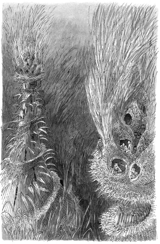 Иллюстрация к книге — Тоби Лолнесс. Книга 1. На волосок от гибели [i_073.jpg]