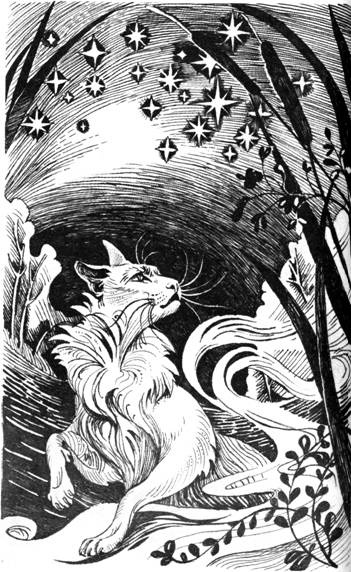 Иллюстрация к книге — Нерассказанные истории. История Остролистой [pic_10.jpg]