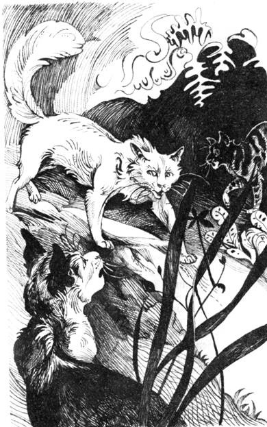 Иллюстрация к книге — Нерассказанные истории. История Остролистой [pic_12.jpg]