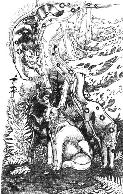 Иллюстрация к книге — Нерассказанные истории. История Остролистой [pic_16.jpg]