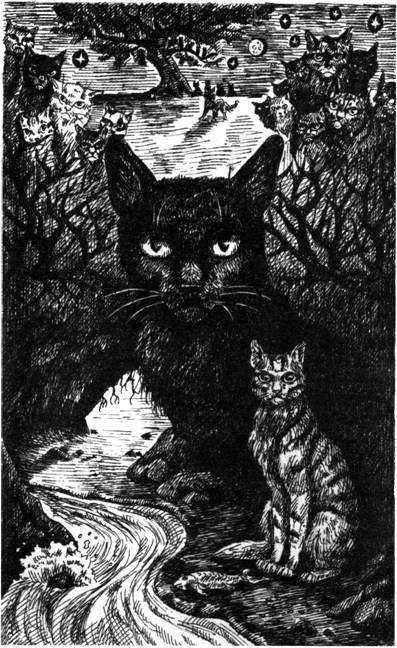 Иллюстрация к книге — Нерассказанные истории. История Остролистой [pic_4.jpg]