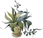 Иллюстрация к книге — Поллианна выросла [i_045.jpg]