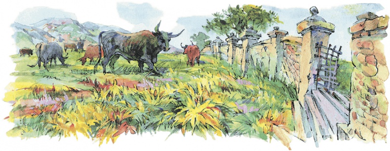 Иллюстрация к книге — Поллианна выросла [i_062.jpg]