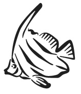 Иллюстрация к книге — Дары моря, исцеляющие организм [i_016.jpg]