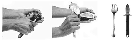 Иллюстрация к книге — Дары моря, исцеляющие организм [i_019.jpg]