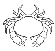 Иллюстрация к книге — Дары моря, исцеляющие организм [i_026.jpg]