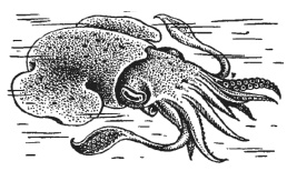 Иллюстрация к книге — Дары моря, исцеляющие организм [i_033.jpg]