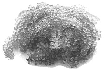 Иллюстрация к книге — Дары моря, исцеляющие организм [i_050.jpg]