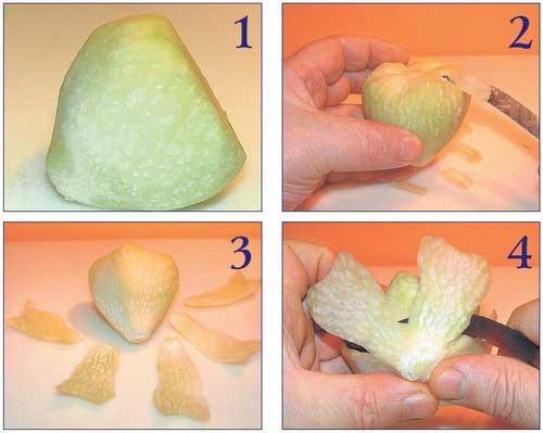 Иллюстрация к книге — Необычные украшения из обычных овощей [Autogen_eBook_id40.jpg]