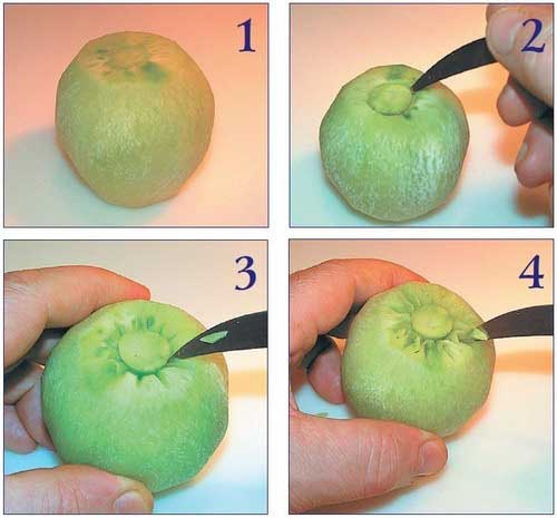 Иллюстрация к книге — Необычные украшения из обычных овощей [Autogen_eBook_id43.jpg]