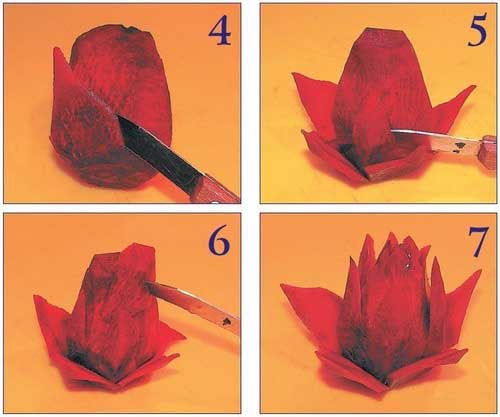 Иллюстрация к книге — Необычные украшения из обычных овощей [Autogen_eBook_id47.jpg]