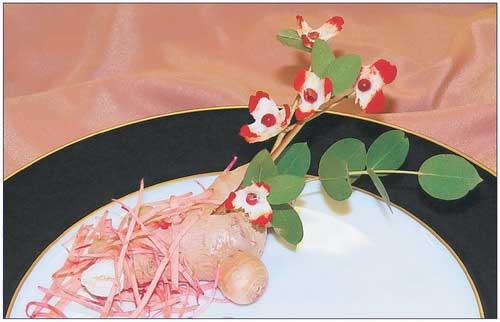 Иллюстрация к книге — Необычные украшения из обычных овощей [Autogen_eBook_id52.jpg]