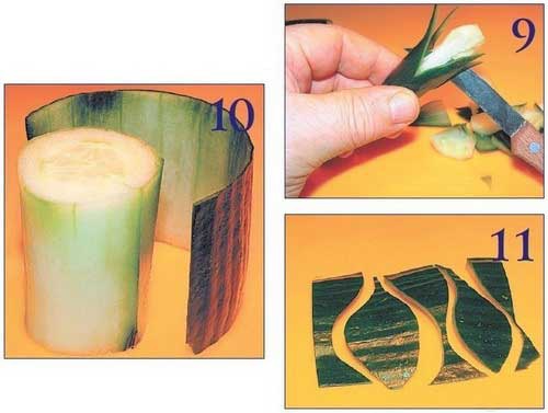 Иллюстрация к книге — Необычные украшения из обычных овощей [Autogen_eBook_id8.jpg]