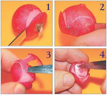 Иллюстрация к книге — Секреты украшения блюд праздничного стола [Autogen_eBook_id131.jpg]