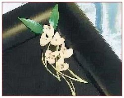 Иллюстрация к книге — Секреты украшения блюд праздничного стола [Autogen_eBook_id165.jpg]