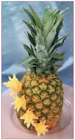 Иллюстрация к книге — Секреты украшения блюд праздничного стола [Autogen_eBook_id179.jpg]