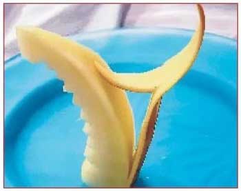 Иллюстрация к книге — Секреты украшения блюд праздничного стола [Autogen_eBook_id204.jpg]