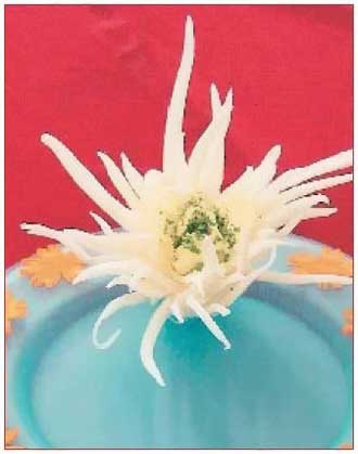 Иллюстрация к книге — Секреты украшения блюд праздничного стола [Autogen_eBook_id25.jpg]