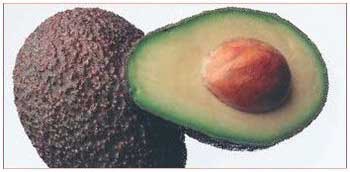 Иллюстрация к книге — Секреты украшения блюд праздничного стола [Autogen_eBook_id281.jpg]