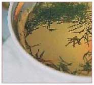 Иллюстрация к книге — Секреты украшения блюд праздничного стола [Autogen_eBook_id292.jpg]