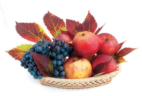 Иллюстрация к книге — Консервирование. 60 рецептов, которые вы еще не знаете [Autogen_eBook_id116.jpg]