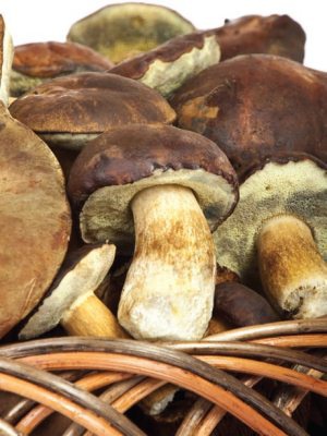 Иллюстрация к книге — Консервирование. 60 рецептов, которые вы еще не знаете [Autogen_eBook_id119.jpg]