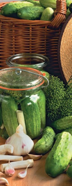 Иллюстрация к книге — Консервирование. 60 рецептов, которые вы еще не знаете [Autogen_eBook_id16.jpg]