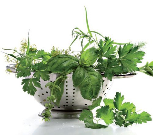 Иллюстрация к книге — Консервирование. 60 рецептов, которые вы еще не знаете [Autogen_eBook_id18.jpg]