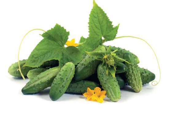 Иллюстрация к книге — Консервирование. 60 рецептов, которые вы еще не знаете [Autogen_eBook_id19.jpg]