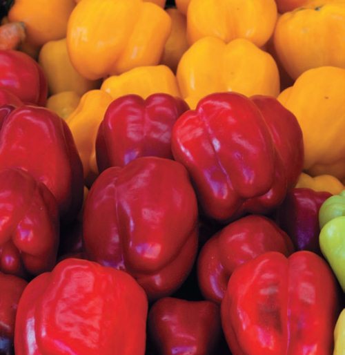 Иллюстрация к книге — Консервирование. 60 рецептов, которые вы еще не знаете [Autogen_eBook_id34.jpg]