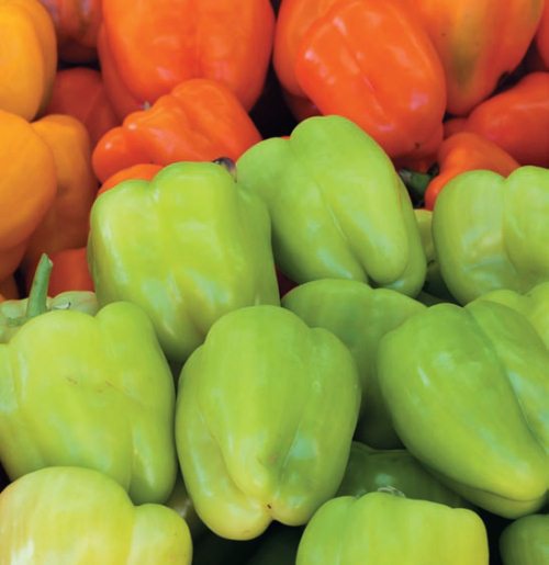 Иллюстрация к книге — Консервирование. 60 рецептов, которые вы еще не знаете [Autogen_eBook_id35.jpg]