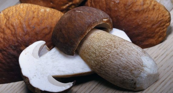 Иллюстрация к книге — Консервирование. 60 рецептов, которые вы еще не знаете [Autogen_eBook_id74.jpg]