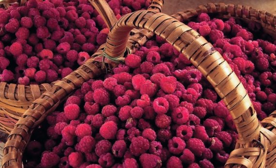 Иллюстрация к книге — Консервирование. 60 рецептов, которые вы еще не знаете [Autogen_eBook_id84.jpg]