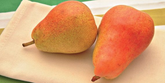 Иллюстрация к книге — Консервирование. 60 рецептов, которые вы еще не знаете [Autogen_eBook_id88.jpg]