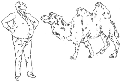 Иллюстрация к книге — Эта вкусная и полезная жизнь. Полная система питания и очищения организма [Autogen_eBook_id26.jpg]