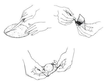 Иллюстрация к книге — Вкусная Индия. Лучшие рецепты [_040.jpg]