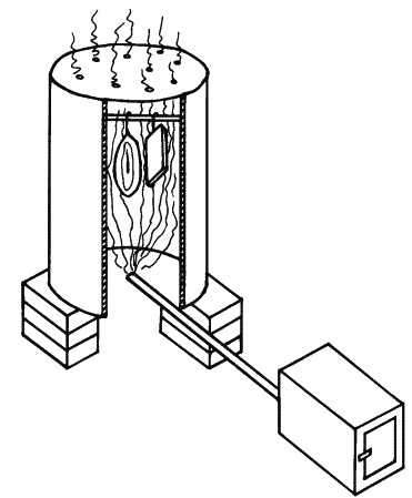 Иллюстрация к книге — Коптим, вялим, солим [_009.jpg]