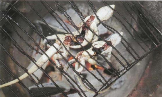 Иллюстрация к книге — Экстремальная кухня. Причудливые и удивительные блюда, которые едят люди [i_019.jpg]