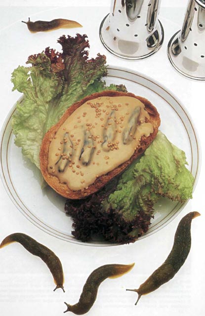 Иллюстрация к книге — Экстремальная кухня. Причудливые и удивительные блюда, которые едят люди [i_024.jpg]