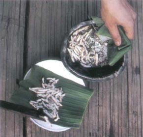 Иллюстрация к книге — Экстремальная кухня. Причудливые и удивительные блюда, которые едят люди [i_035.jpg]