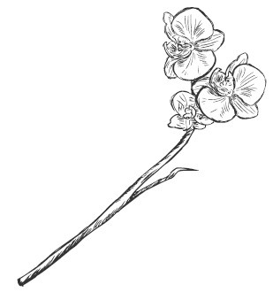 Иллюстрация к книге — Все бабы как бабы, а я - дура на миллион [i_031.jpg]