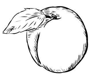 Иллюстрация к книге — Все бабы как бабы, а я - дура на миллион [i_094.jpg]