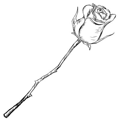 Иллюстрация к книге — Все бабы как бабы, а я - дура на миллион [i_109.jpg]