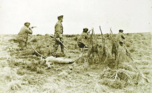 Иллюстрация к книге — Архипелаг блуждающих огней [i_050.jpg]