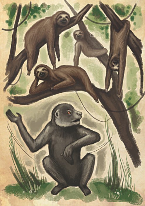 Иллюстрация к книге — Остров Дадо. Суеверная демократия [_img_07.jpg]