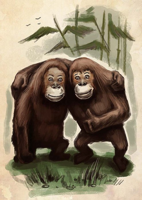 Иллюстрация к книге — Остров Дадо. Суеверная демократия [_img_13.jpg]